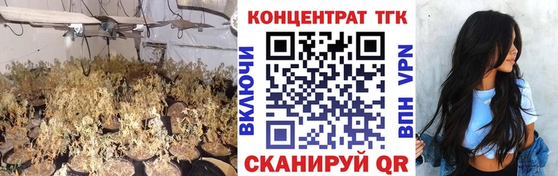Дистиллят ТГК Wax  Купить  Остров 
