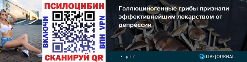 Галлюциногенные грибы GOLDEN TEACHER  Купить где  Остров 